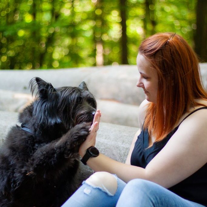 Trainingsmoment im Wald Cindy beim Training mit einem Hund im Wald