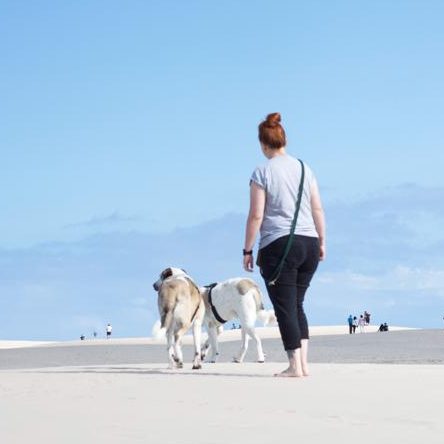 Spaziergang am Meer Cindy mit ihren Hunden am Strand